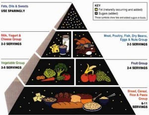 usda-food-guide-pyramid-1992-300x232
